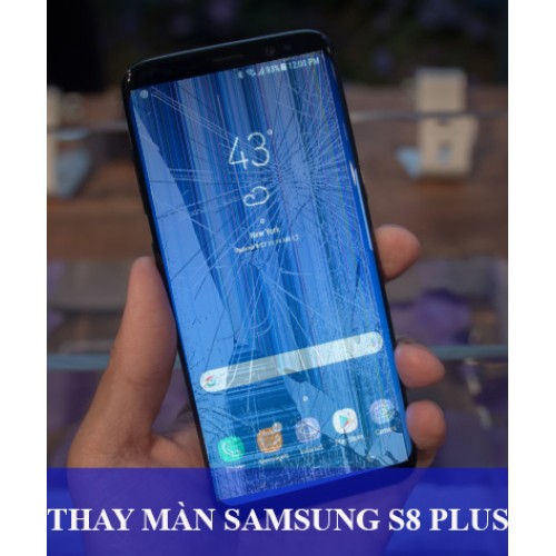 Thay màn hình Samsung S8 Plus tại Hà Nội