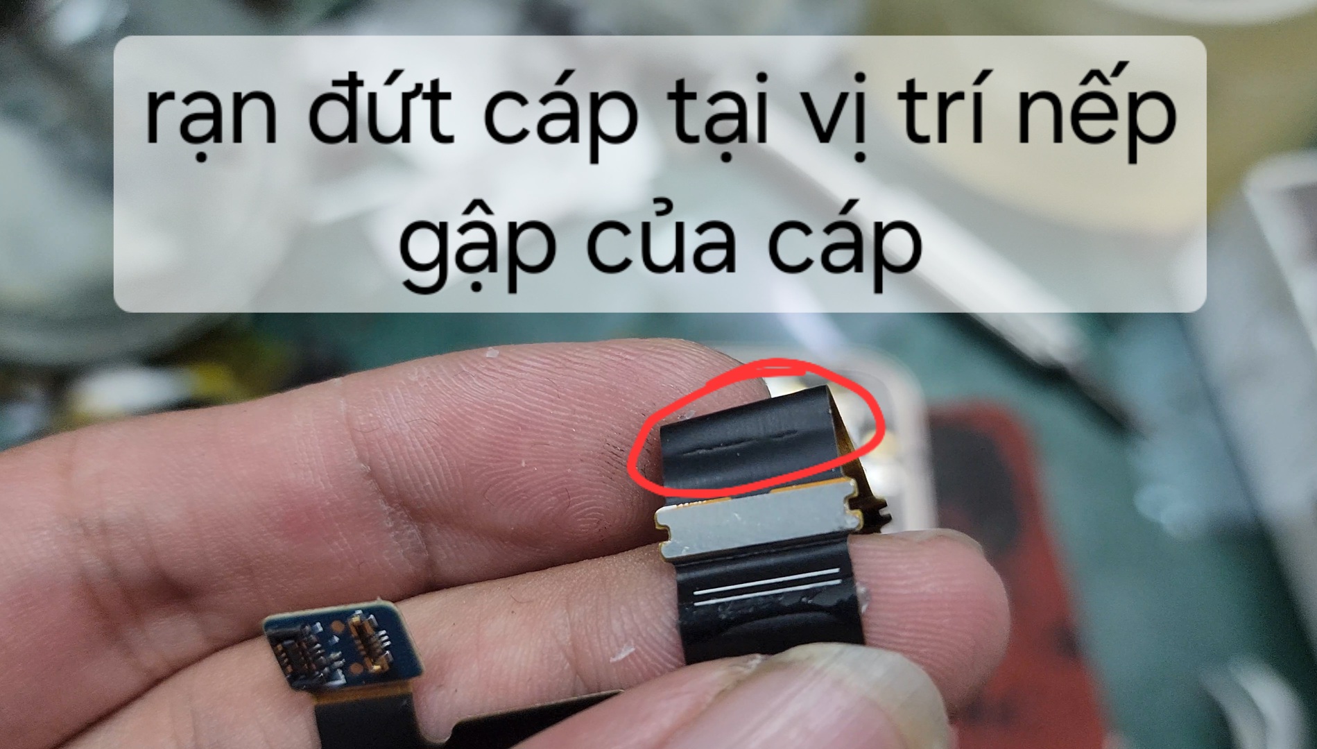 z flip 4 gập máy bị tắt nguồn